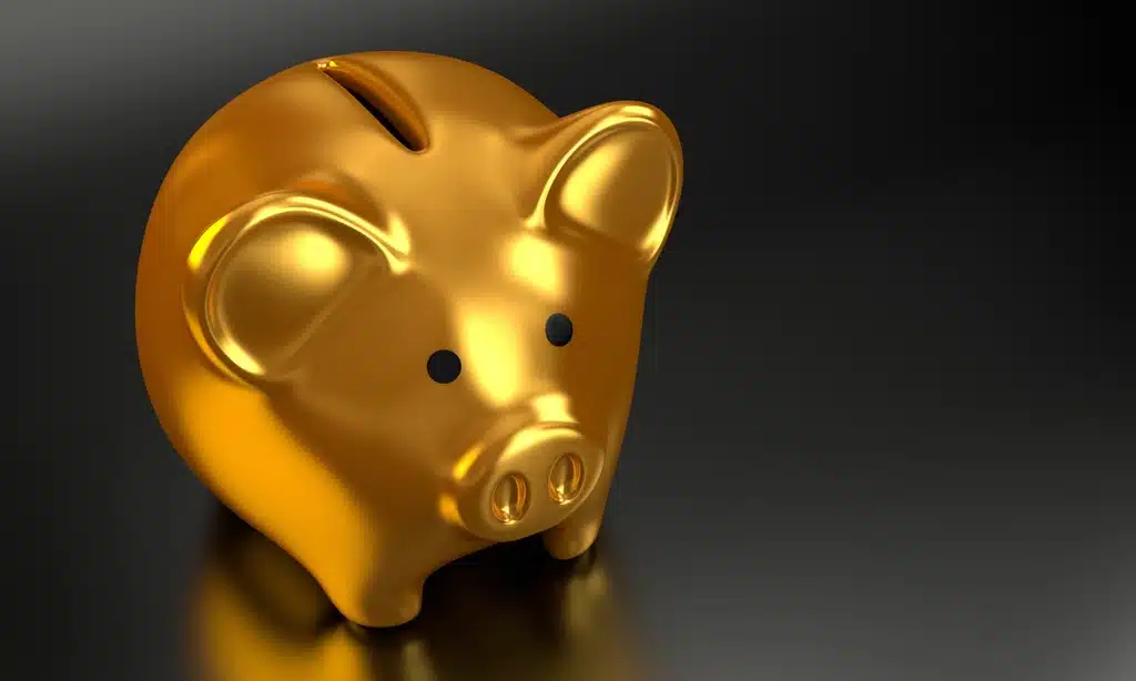 How to Make a Budget After Thinking