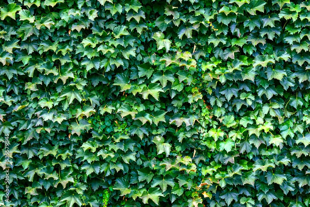 The Ivy at Wrigley Field illustrating when Matthew Adair accelerated his journey to financial freedom through real estate investing.