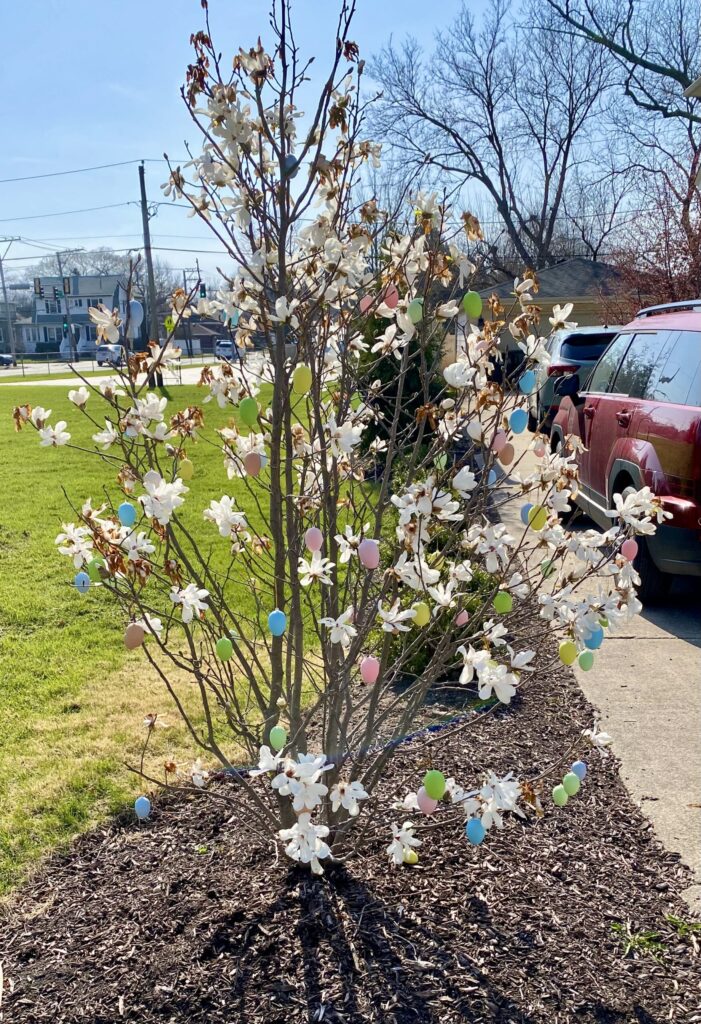 My daughter's favorite easter egg tree she wanted for the backyard.