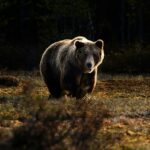 In a bear market, the hardest thing to do is the best thing: nothing.