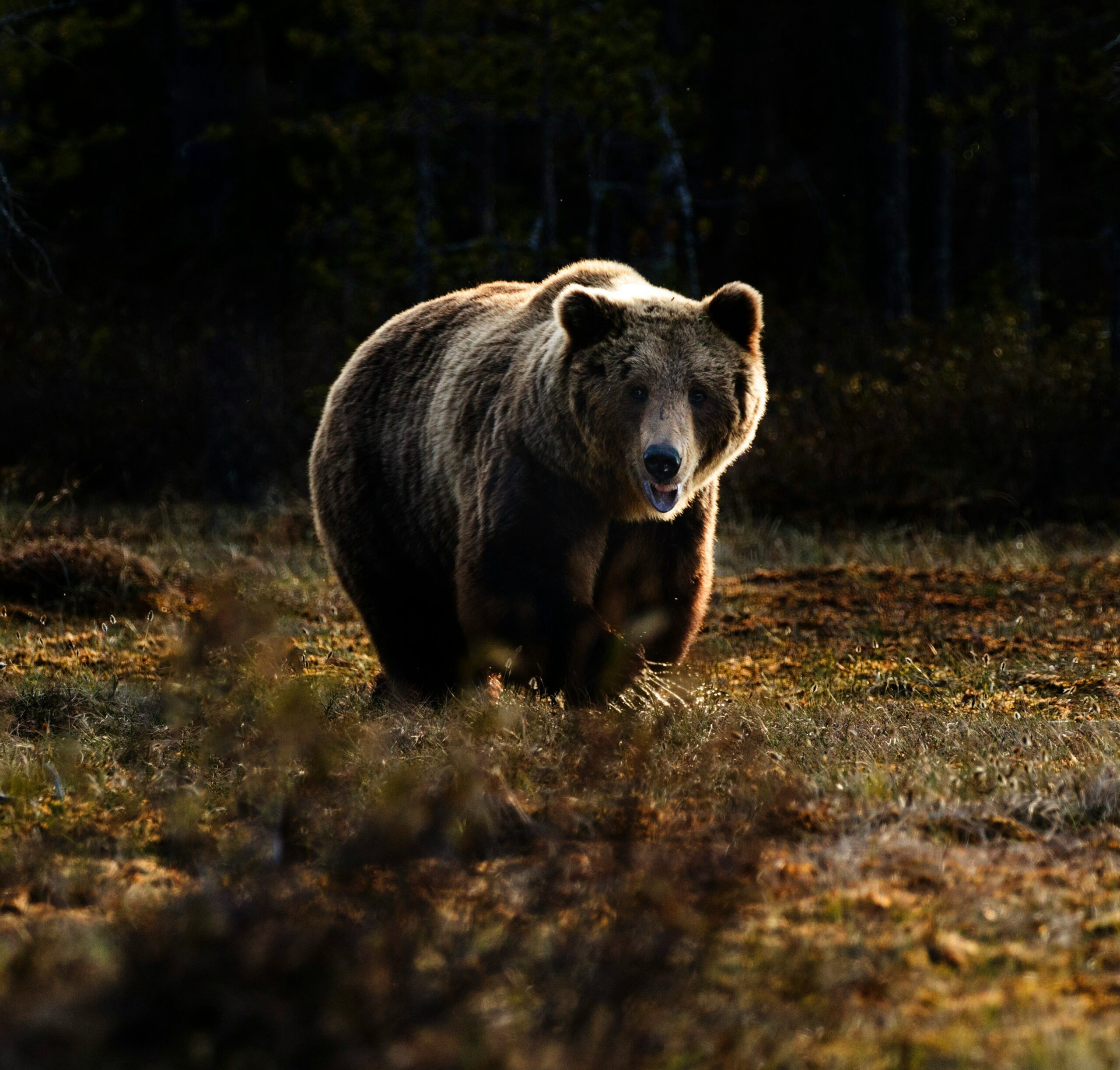 In a bear market, the hardest thing to do is the best thing: nothing.