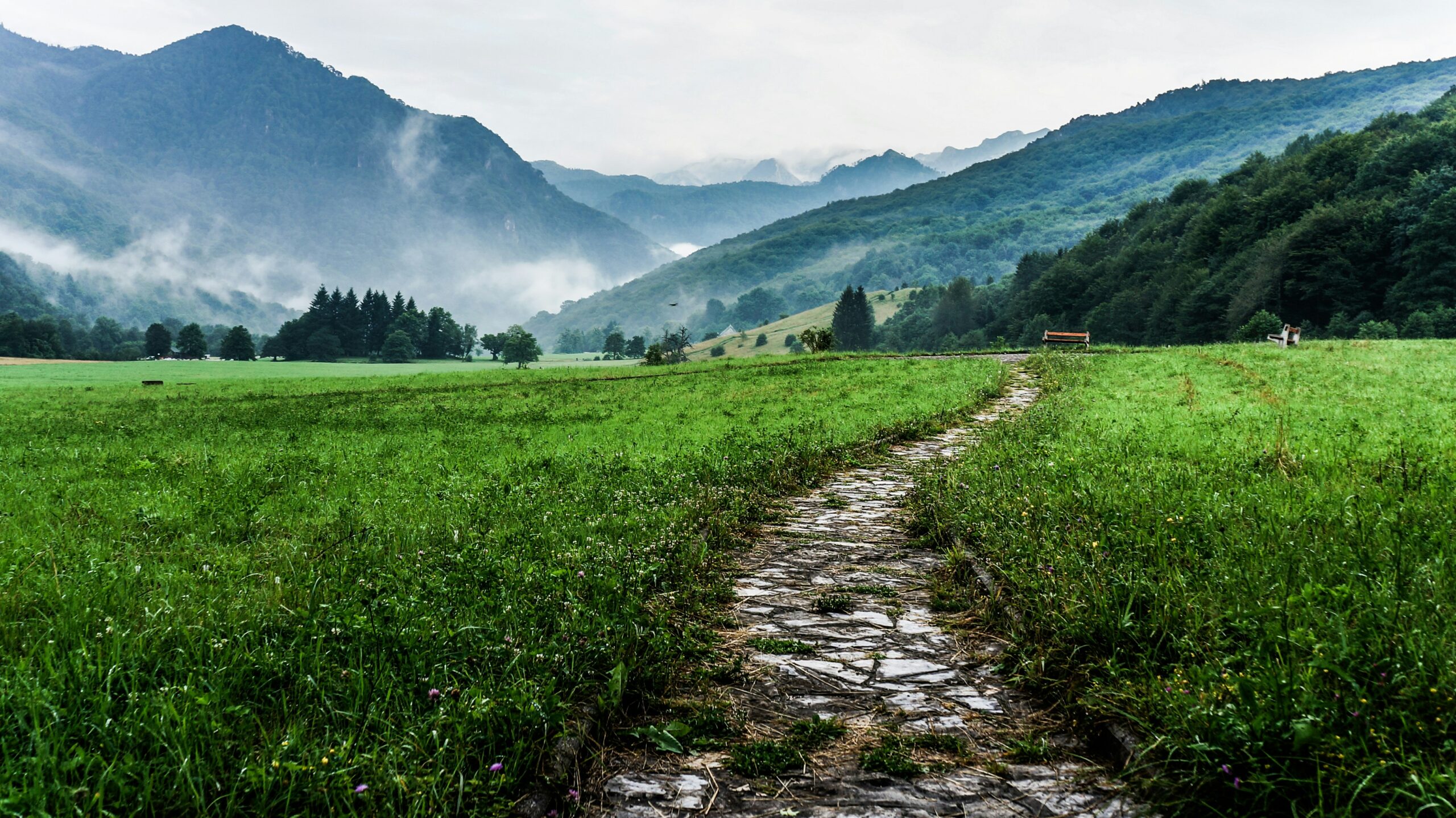 Money on My Mind: Read The Simple Path to Wealth