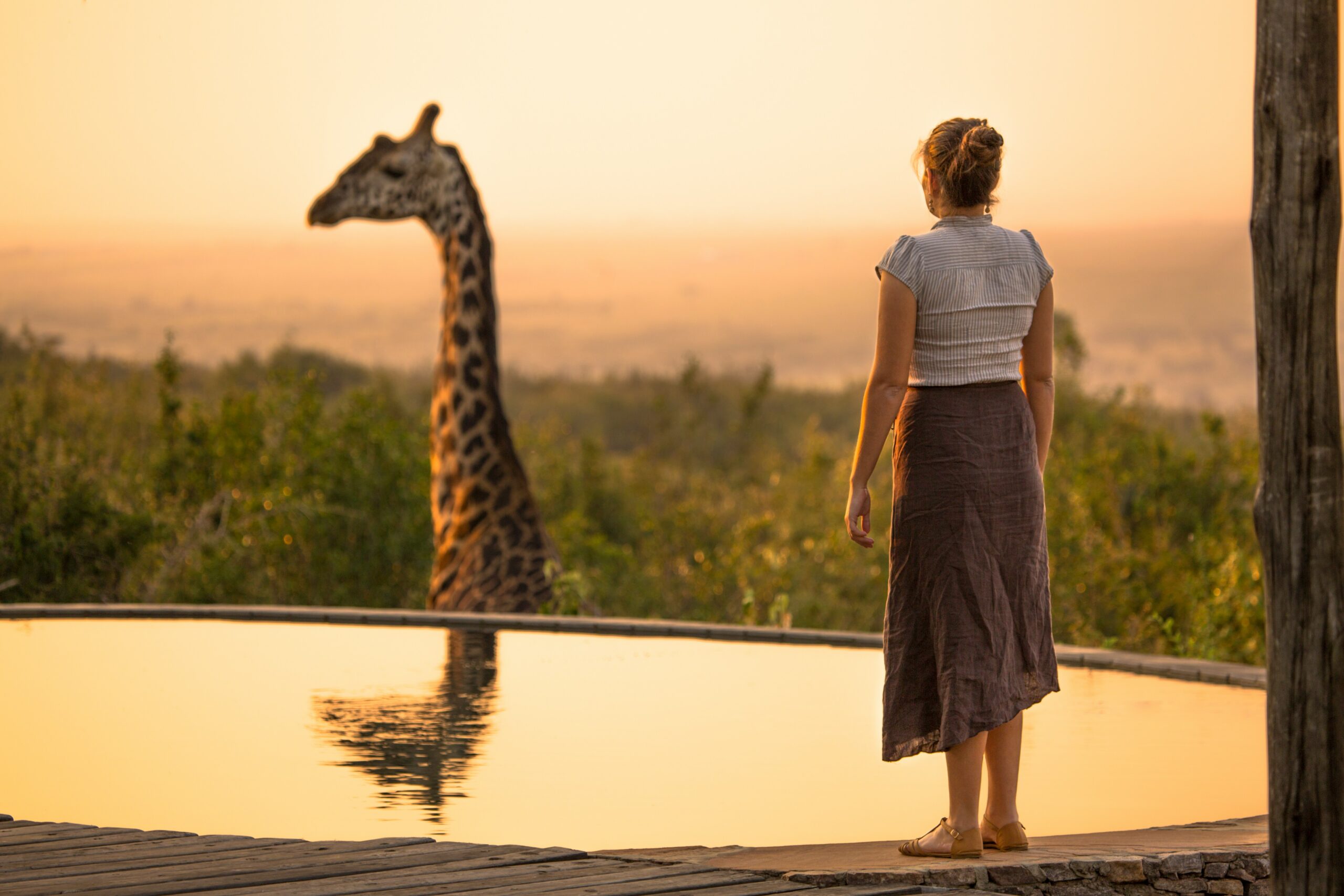 Photo taken at Mara Bushtops in Masai Mara, Kenya. Mara Bushtops conserves a large amount of land outside the national reserve which has resulted in wildlife population increases. This Giraffe, Called Harry comes right in to the resort and was very lucky to capture this special moment of a girl standing by the swimming pool saying hello to Harry the Giraffe, illustrating what I would do with $10 million.
