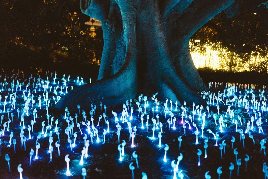 decorative lights under a tree at night showing how one rental property can shrink your magic retirement number.