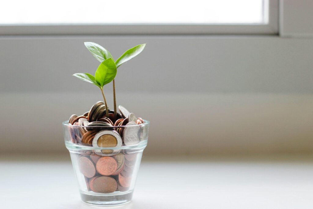 green plant in clear glass cup indicating that net worth grows over time.