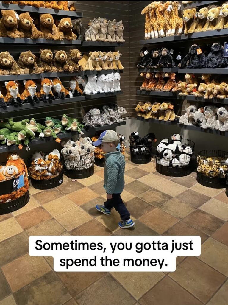 boy shopping for stuffies indicating sometimes you gotta spend the money.