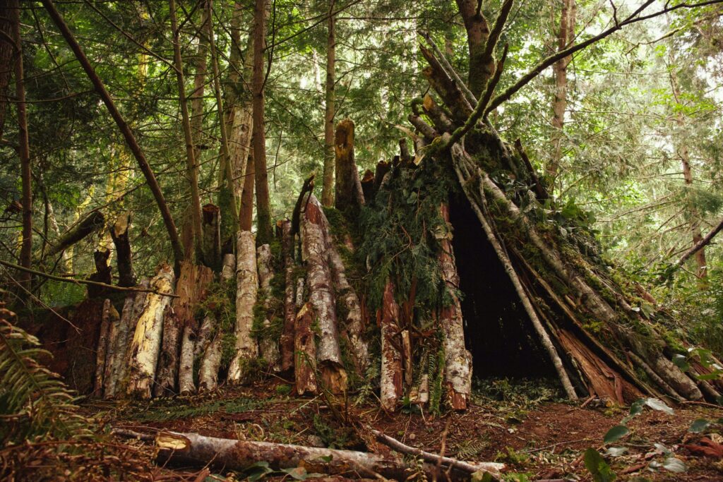 food cache built in the woods indicating that we all need to build a financial fortress to protect what we have earned.