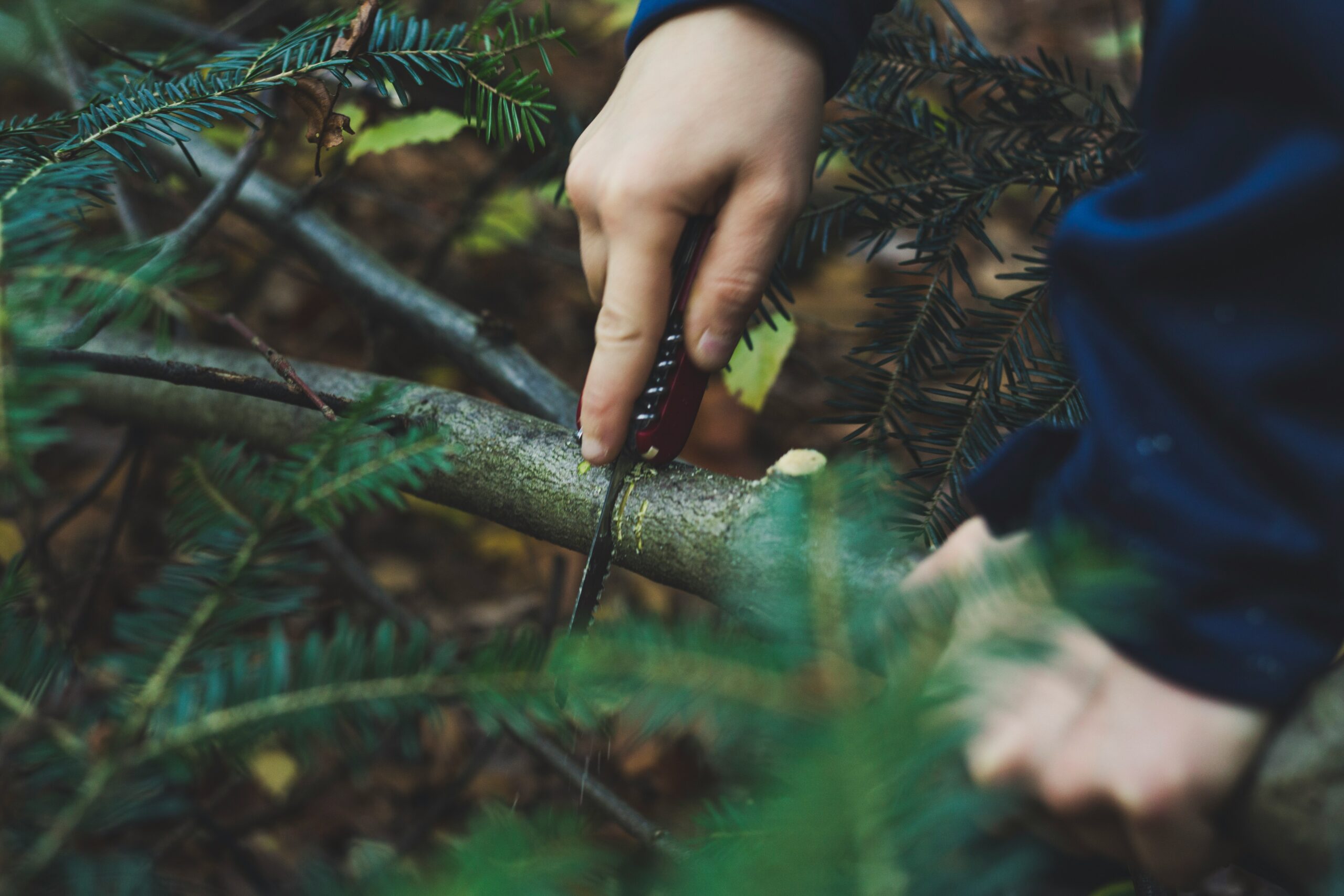 What Survival Experts can Teach us About Money